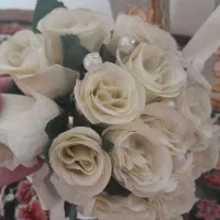 دوتا نمکدان جا آبلیموی سس خوری وجاشکری دوتا گلدان|ظروف سرو و پذیرایی|تهران, زمزم|دیوار