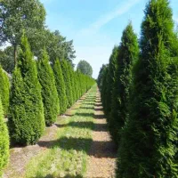 علف تراشی ، سم پاشی ...