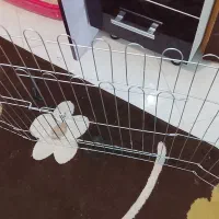 فنس یا پارک سگ گربه