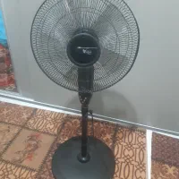 پنکه تمیز ونو اصلا استفاده نشده|پنکه و تصفیهکنندهٔ هوا|هشتگرد, شهرک ریحانه|دیوار