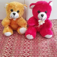 دمپای جفتی۶۰ هزارتمان