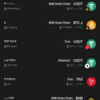 ارزدیجیتال USDT.z|قطعات و لوازم جانبی رایانه|قم, کوه سفید|دیوار