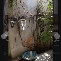 اجاره روزانه تهران|اجارهٔ کوتاه‌مدت آپارتمان و سوئیت|تهران, شادآباد|دیوار
