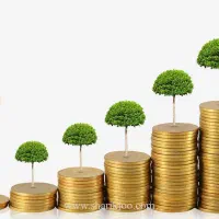 نیازبه سرمایه و شراکت کاری