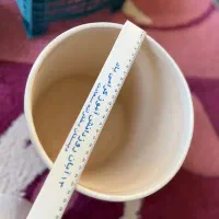 گلدان سرامیکی خاک  گل آپارتمانی خاک کاکتوس