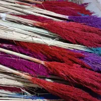 پامپاس گل خشک شب چله زیر قیمت بازار گل