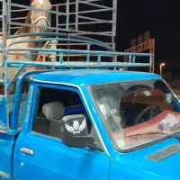 حمل بار ودام حیووانی.فارس فیروزاباد|خدمات حمل و نقل|فیروزآباد (فارس), |دیوار