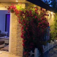 اجاره سوییت دنج