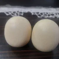 سنگ الماس آسیاب