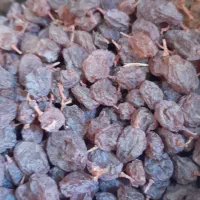 کشمش پلویی|خوردنی و آشامیدنی|فردیس, فردیس|دیوار