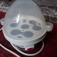 تخم مرغ اپز