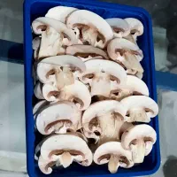 mushroom قارچ دکمه ای|خوردنی و آشامیدنی|تهران, صادقیه|دیوار