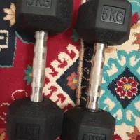 دمبل 5 کیلیویی|تجهیزات ورزشی|میانه, |دیوار