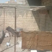 قفس توربند معاوضه باانگشتر