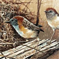 تابلو فرش در حد نو|تابلو فرش|اندیشه, اندیشه فاز ۳|دیوار