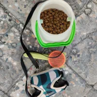 وسایل مورد نیاز سگ