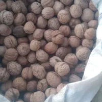 گردو تویسرکان|عمدهفروشی|آبدانان, |دیوار