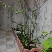 فروش خانه باغ