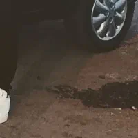 سرویس برای خانم ها وآقایون