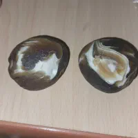 دوعددسنگ شیشه ای..شهرستان