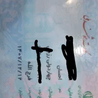 مدارک گم کردم به نام احسان چهاردولی