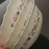 ظروف آرکوپال فرانسه