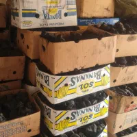 زغال انگورشیرازصنعتی وسنتی وزغال نارگیل|عمدهفروشی|بیرجند, |دیوار