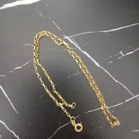 زنجیر دیپلمات