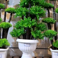 تولید و پخش درختچه مصنوعی|گل مصنوعی|آفتاب, |دیوار