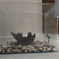 آکواریم سالم شیشه خم به همراه لوازم|ماهی|مشهد, رضاشهر|دیوار