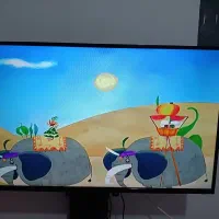 تلویزیون ۴۳ اینچ هاردستون