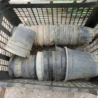 گلدان خالی.گلدون خالی