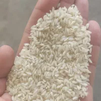 برنج عنبر بو درجه یک|خوردنی و آشامیدنی|بهبهان, |دیوار