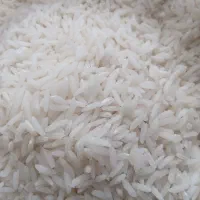 برنج طارم هاشمی دابو ملکشاه|خوردنی و آشامیدنی|نیشابور, ناسیونال|دیوار