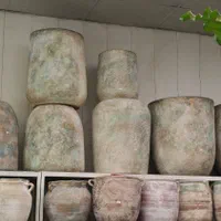 مشاوره خرید گل و گیاه اپارتمانی،ویزیت گل و گیاه