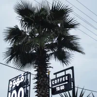 کار در کافه