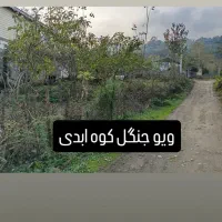 زمین مسکونی|فروش زمین و ملک کلنگی|لوندویل, |دیوار