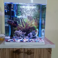 آکواریوم k390