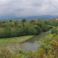 ۱هکتار شالیزار سنتی  + ۵۰۰ متر مسکونی مناسب درخت|فروش زمین و ملک کلنگی|احمدسرگوراب, |دیوار