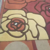 فرش تمیزشستم