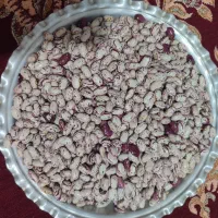 حبوبات