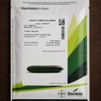 بذر خیار گلخانه ای سمینس(PS64 و 8552)