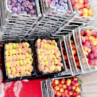 حراج|خوردنی و آشامیدنی|شوش, |دیوار