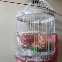 قفس پرنده کاملا نو و سالم