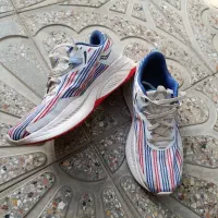 کفش ساکونی اصل|کیف، کفش، کمربند|فریمان, |دیوار