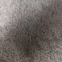 فروش جو ایرانی|خوردنی و آشامیدنی|شراء, |دیوار