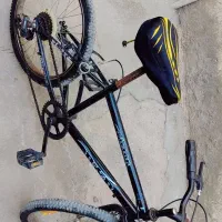 دوچرخه دندیی 20