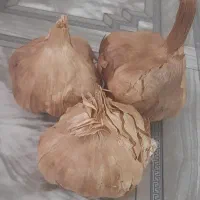 سیر سیاه|خوردنی و آشامیدنی|اصفهان, پروین|دیوار