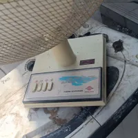 فروش پنکه زمینی گتوند