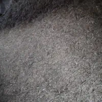 کاه لوبیا قرمز